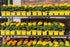 Calendula Officinalis - OP Flower Seeds